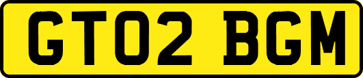 GT02BGM