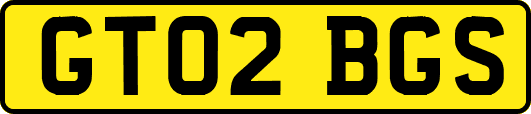 GT02BGS