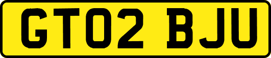 GT02BJU