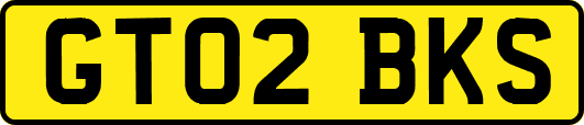 GT02BKS