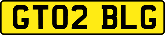 GT02BLG