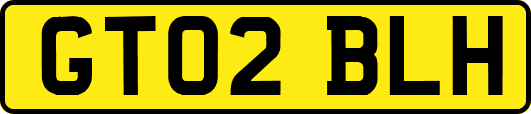 GT02BLH