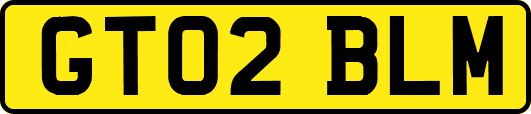 GT02BLM