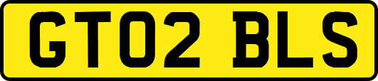 GT02BLS