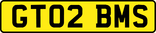 GT02BMS