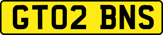 GT02BNS