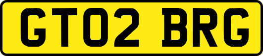 GT02BRG