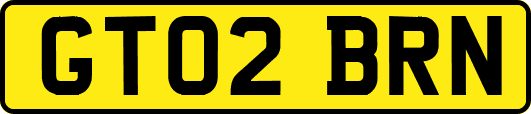 GT02BRN