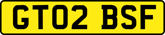 GT02BSF