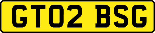 GT02BSG