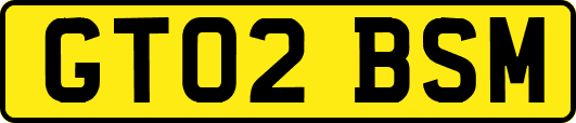 GT02BSM
