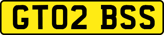 GT02BSS