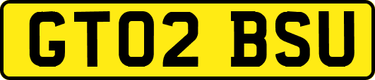 GT02BSU