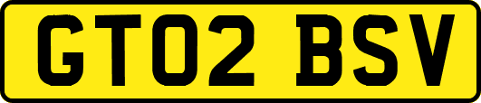 GT02BSV