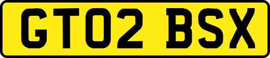 GT02BSX