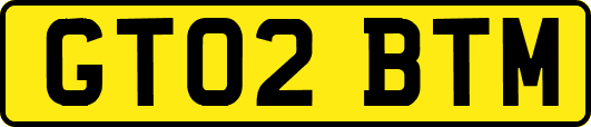 GT02BTM
