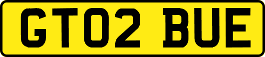 GT02BUE