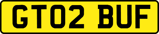 GT02BUF