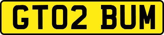 GT02BUM