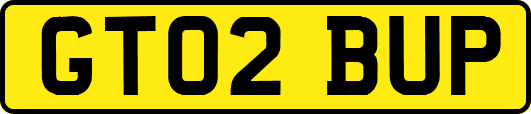 GT02BUP