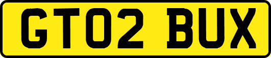 GT02BUX