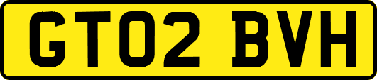 GT02BVH