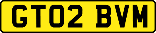 GT02BVM
