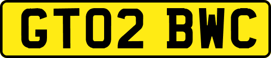 GT02BWC