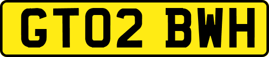 GT02BWH