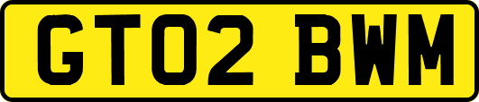 GT02BWM