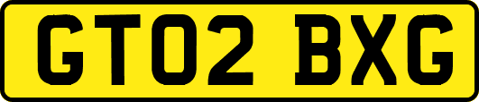 GT02BXG