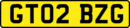 GT02BZG