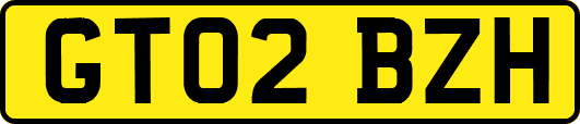 GT02BZH
