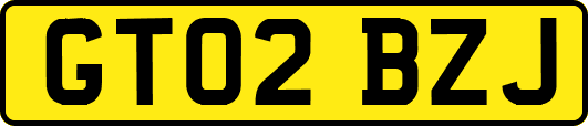 GT02BZJ