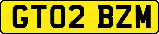 GT02BZM