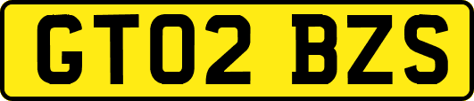 GT02BZS