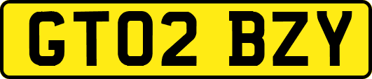 GT02BZY