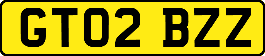 GT02BZZ