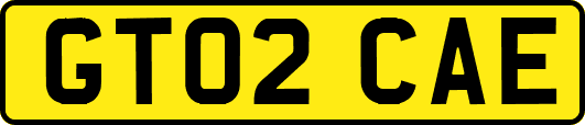 GT02CAE