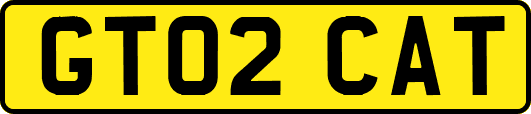 GT02CAT