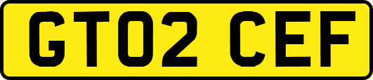 GT02CEF