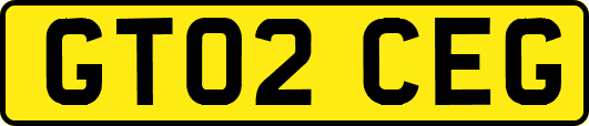 GT02CEG