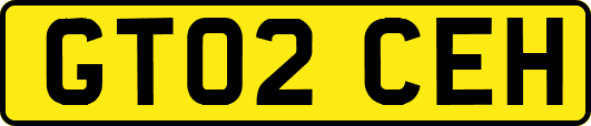 GT02CEH