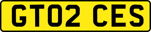 GT02CES