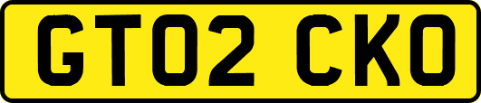 GT02CKO