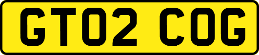 GT02COG
