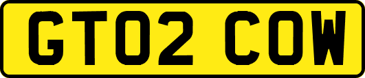 GT02COW