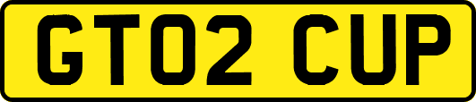 GT02CUP
