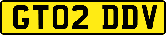 GT02DDV