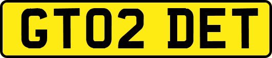 GT02DET
